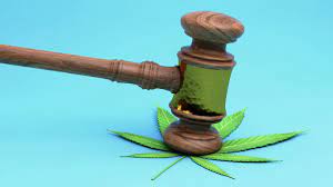 Federal and State Marijuana Laws
