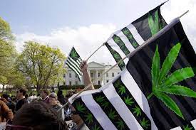 Federal and State Marijuana Laws