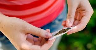 Person rolling marijuana joint how to get weed out of your system