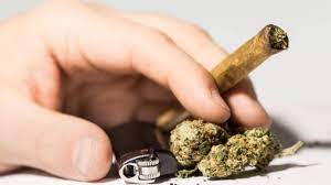 Man holding MJ Joint