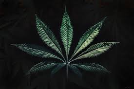 Weed Leaf