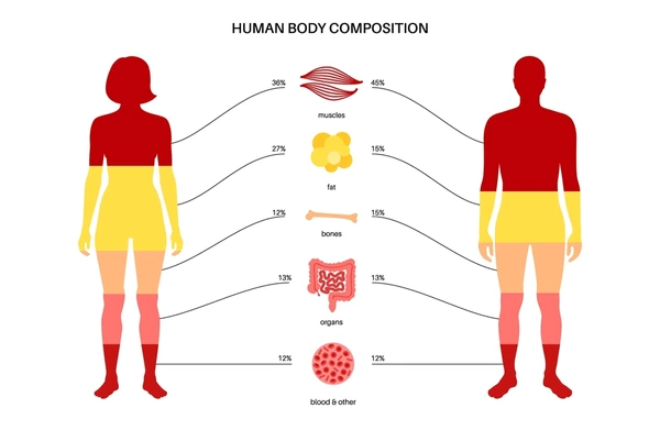 A detailed visual representation of the various factors influencing THC detection times, featuring a split scene: on one side, a colorful diagram illustrating metabolic processes in the human body, with arrows showing timeframes; on the other side, illustrative icons symbolizing hydration levels, frequency of use, body weight, age, and testing methods, all interconnected with flowing lines, set against a gradient background that transitions from light to dark.