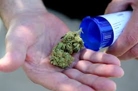 Marijuana Chronic Pain