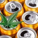 How Marijuana Helps Hangovers