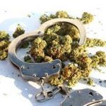 A picture of marijuana and hand cuffs.