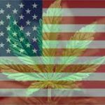 A picture of an American flag and weed leaf.