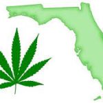 Florida Medical Marijuana Laws