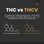 THCv