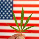 Federal and State Marijuana Laws
