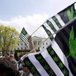 Federal and State Marijuana Laws