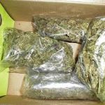 Ounce of Weed