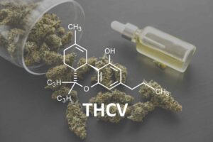 THCVGivingTree scaled 1