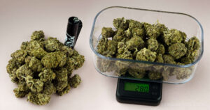 Weed Measurements 1