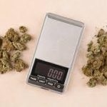 Weed Measurements