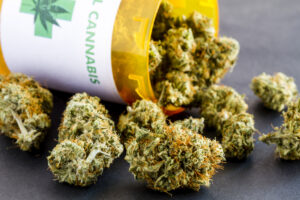 marijuana buds in prescription bottle