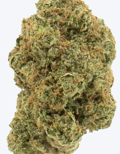 BMTHC AFlowerGelatoCake BMTHC AFlowerGelatoCake