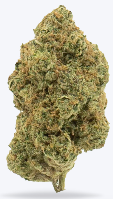 BMTHC AFlowerGelatoCake