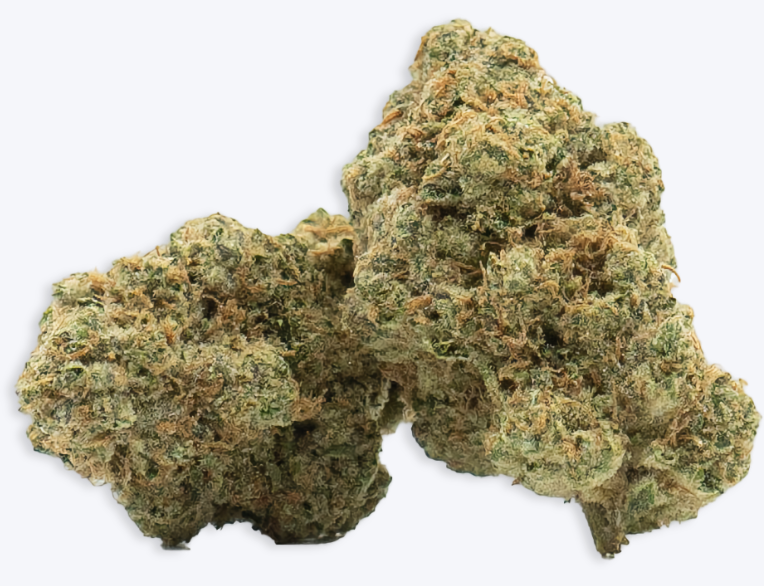 BMTHC AFlowerGelatoCake2