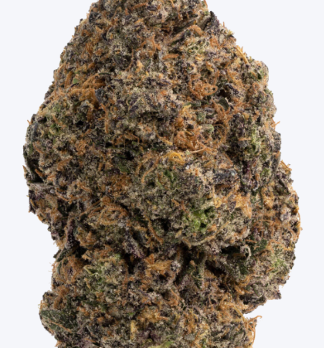 BlueGushersTHCAFlower BlueGushersTHCAFlower