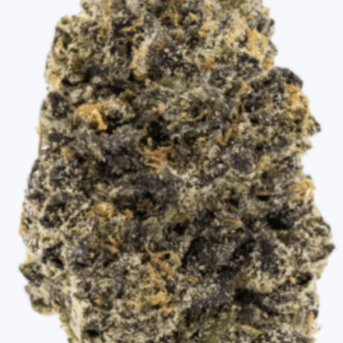 DarkPieTHCAFlower DarkPieTHCAFlower