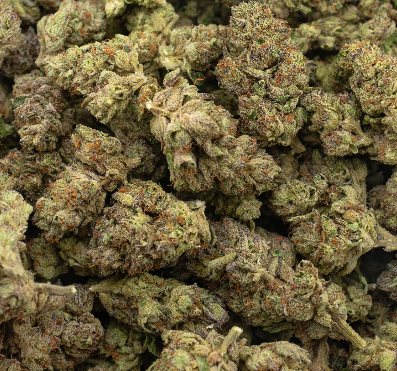 DarkPieTHCAFlower1LB