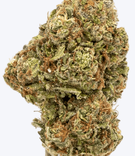 GaryPaytonTHCAFlower GaryPaytonTHCAFlower