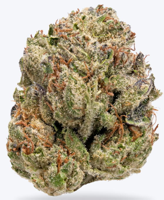 LemonCherryGelatoFlower