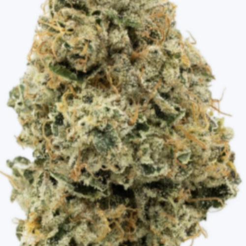 OilTankerTHCAFlower OilTankerTHCAFlower