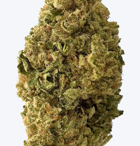 PurplePunchTHCAFlower PurplePunchTHCAFlower