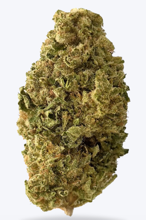 PurplePunchTHCAFlower