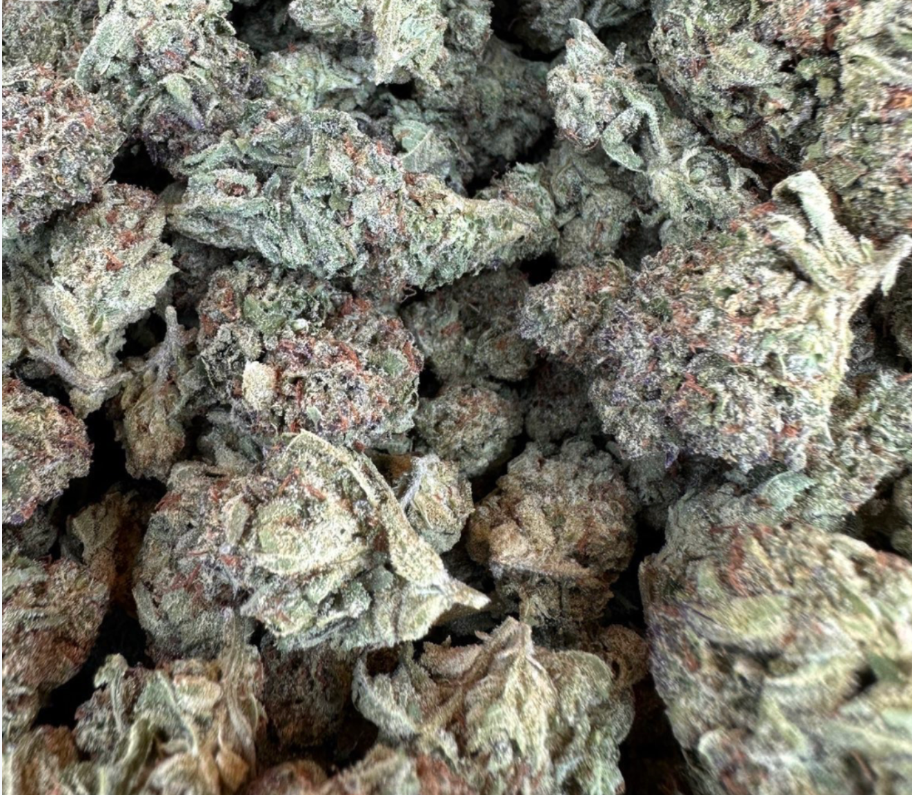 THC AFlowerGelatoCake 1lbs