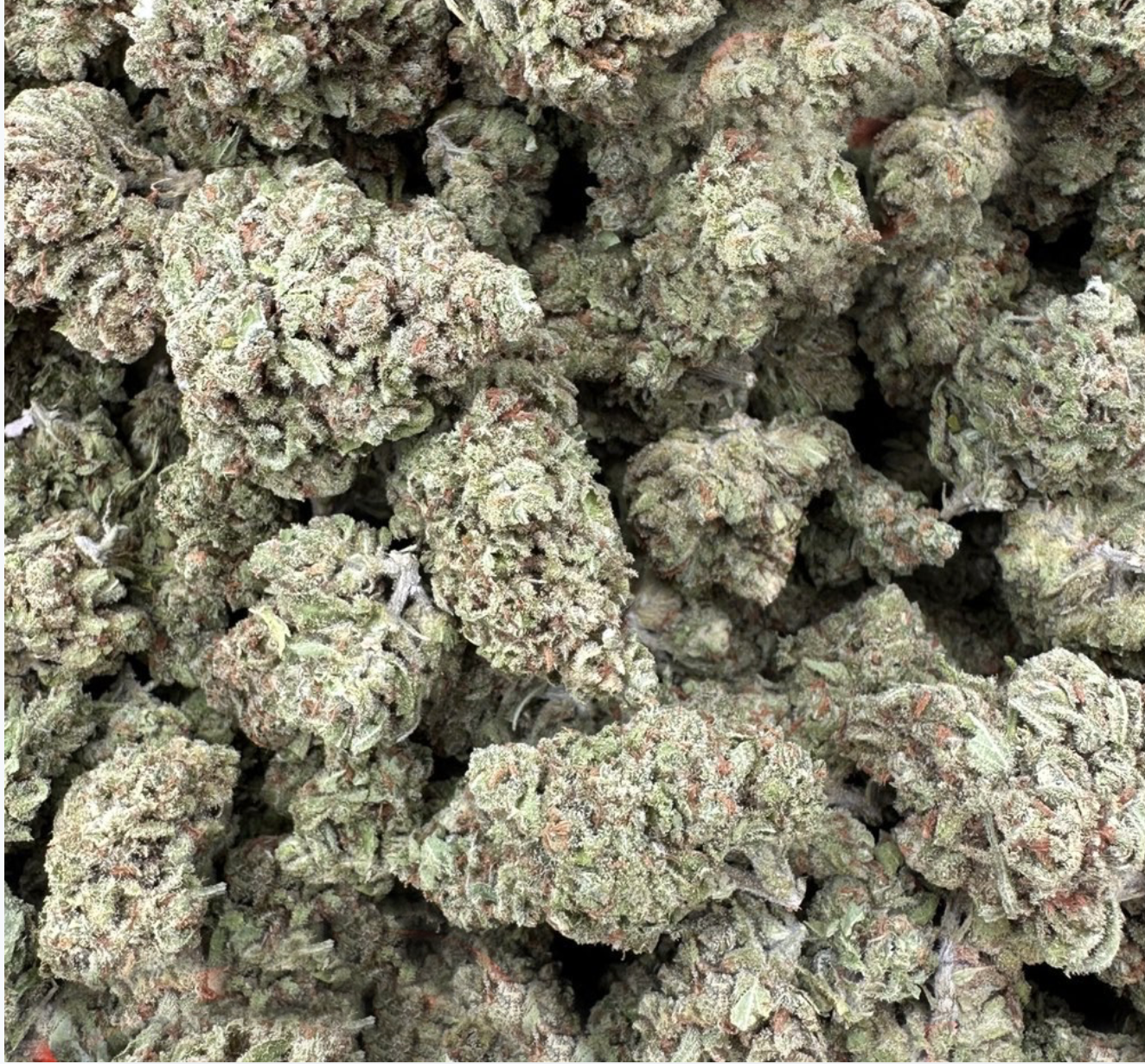 THC AFlowerLemonCherryGelato 1lbs