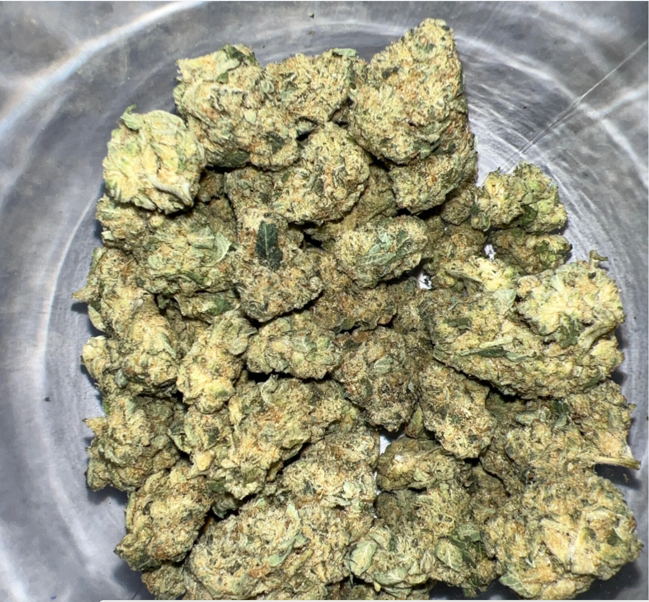 THC AFlowerOilTanker 1lbs