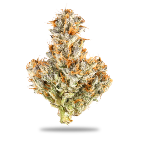 White Truffle grams 450x450 796979fd 6de7 429e a10b b448675ebbda