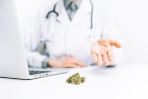 Medical Marijuanas Registry in Florida