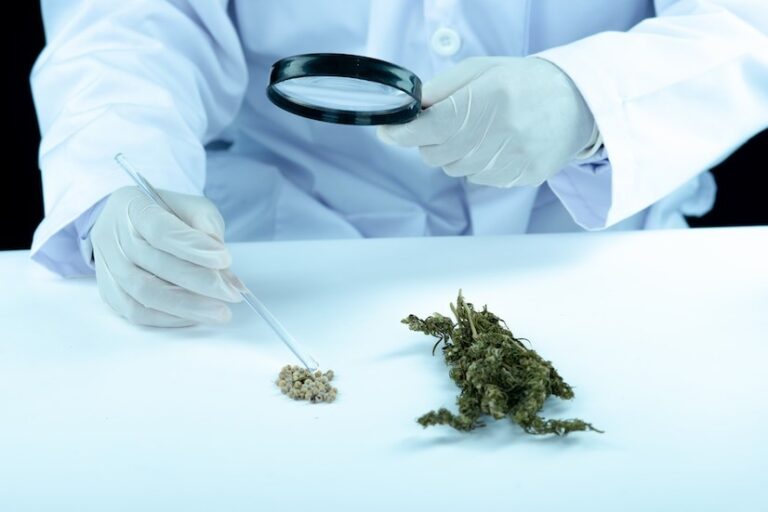 medical marijuana doctor in Ocala